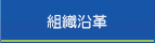 組織沿革